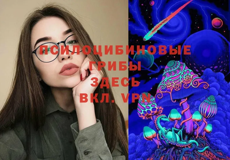 Галлюциногенные грибы Magic Shrooms  Горбатов 